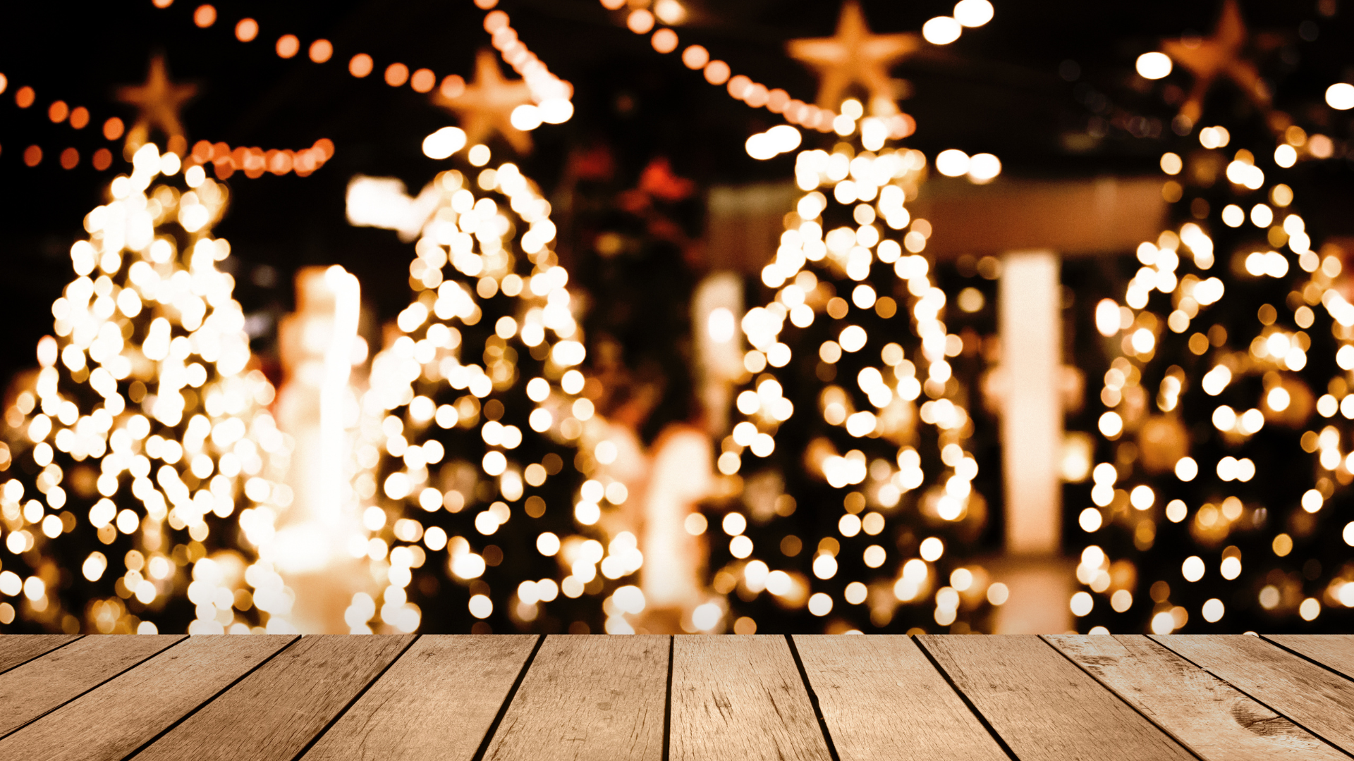 Holiday festival of trees